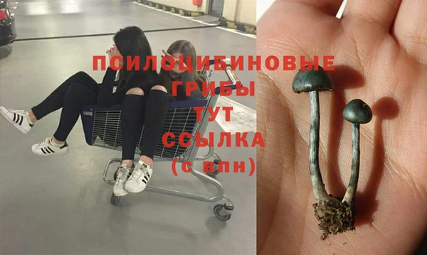 альфа пвп Богородск