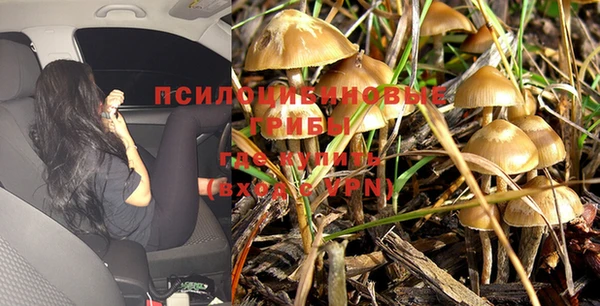 ALPHA PVP Богданович