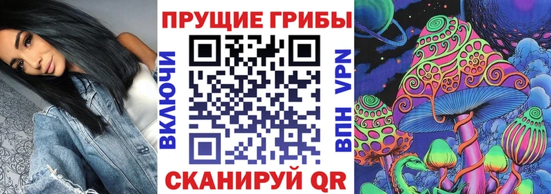 Псилоцибиновые грибы MAGIC MUSHROOMS  Купить где  Шлиссельбург 